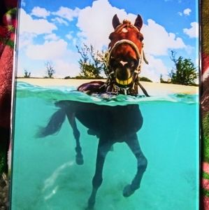 Meet your Posher, Tonya